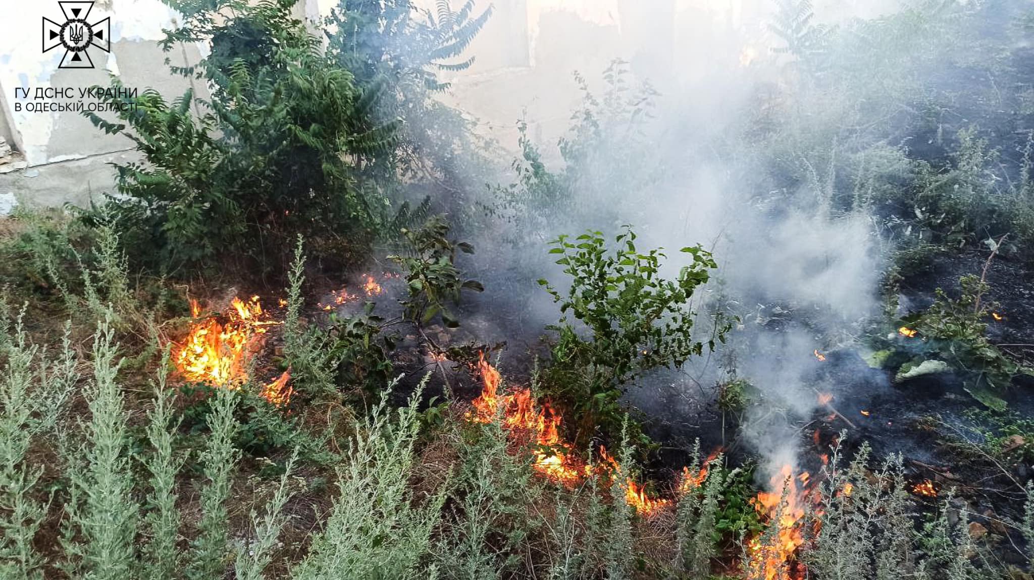 Лише за добу 28 пожеж на Одещині знищили шість гектарів землі: безвідповідальність людей призводить до катастрофічних наслідків
