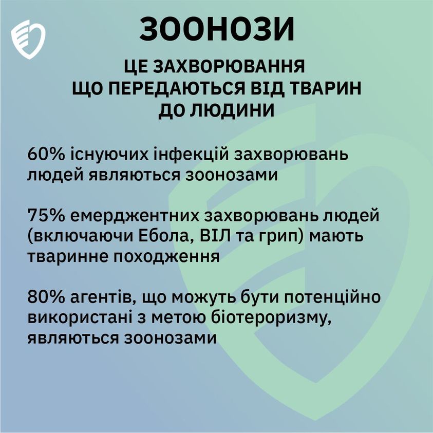 Жителів Бессарабії попереджають про небезпечні зоонози - як вберегтися