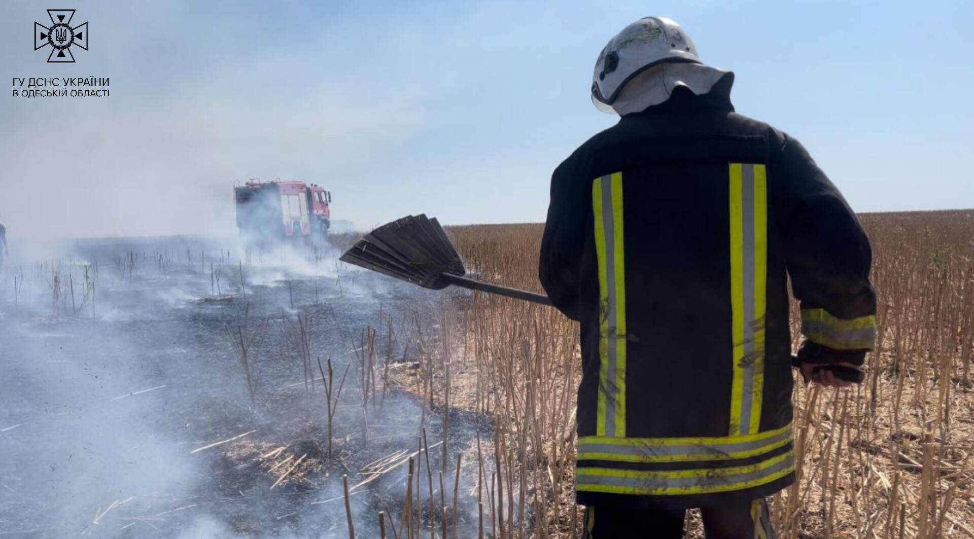 Знову масштабна пожежа на Одещині: вогонь знищив десять гектарів поля з пшеницею