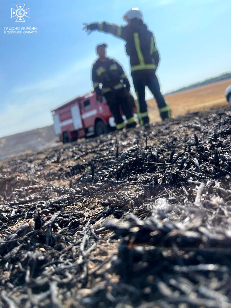 Знову масштабна пожежа на Одещині: вогонь знищив десять гектарів поля з пшеницею