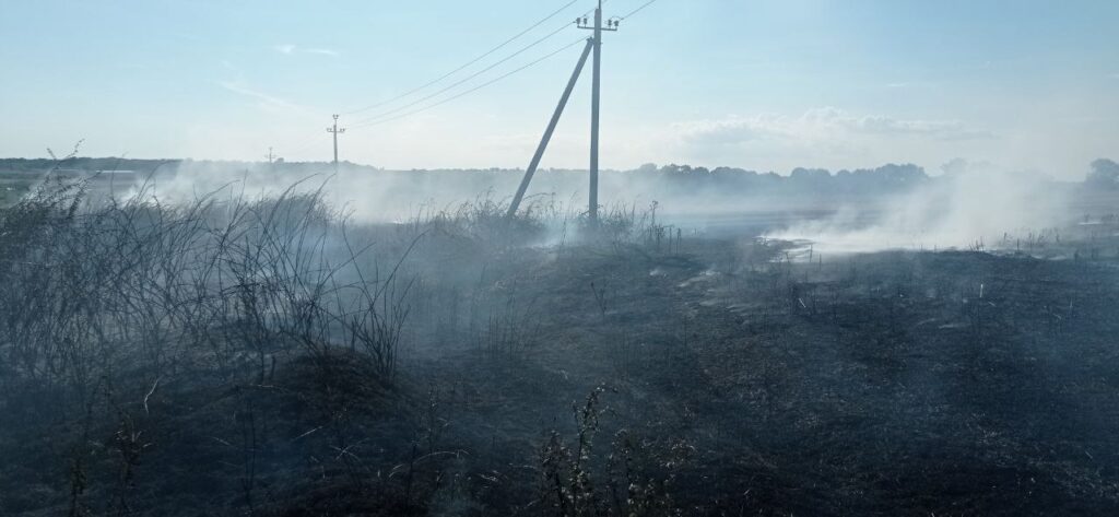 Загоряння сухої трави додає клопоту рятувальникам: на Білгород-Дністровщині сталася пожежа на кладовищі