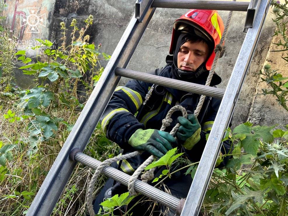 В Одесі горів завод: вогнеборцям вдалося врятувати будівлю від знищення вогнем