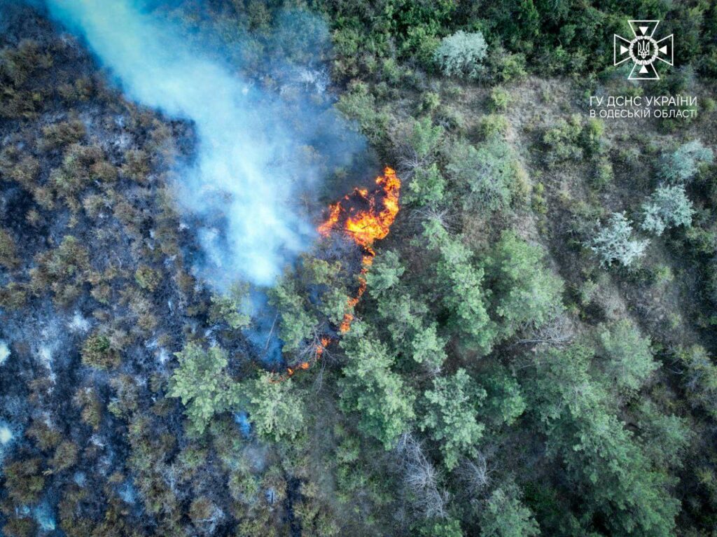 На Одещині сталася масштабна пожежа: полум'я охопило майже 8 гектарів