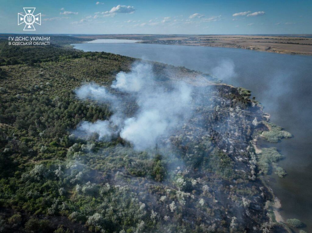 На Одещині сталася масштабна пожежа: полум'я охопило майже 8 гектарів
