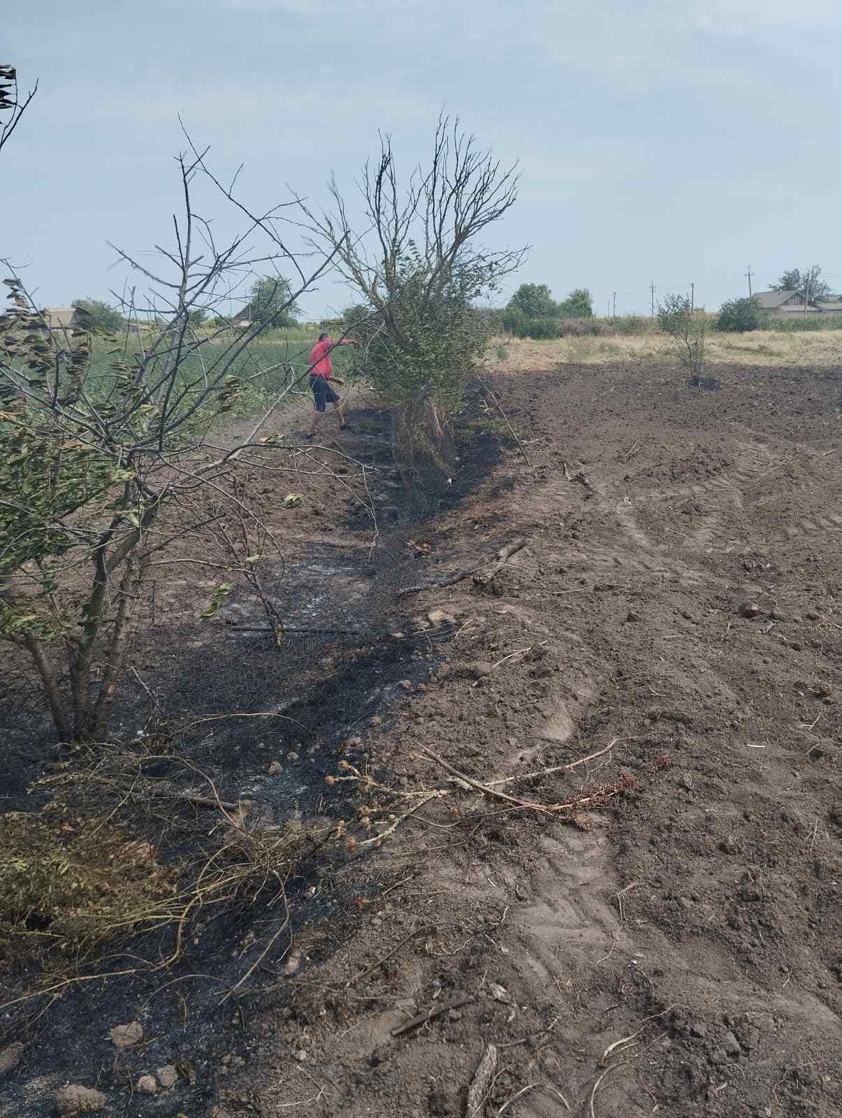 Негода ледве не наробила лиха у Лиманській громаді