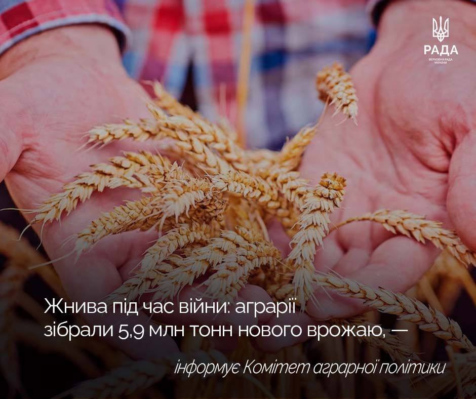 Аграрії Одещини продовжують невтомно працювати на полях: вже намолочено більше тисячі тонн нового врожаю