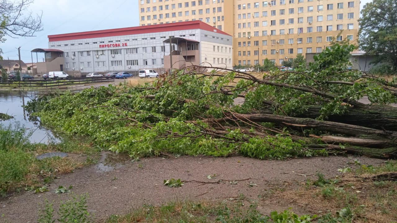 Повалені дерева, провали ґрунту, відсутність електро- та водопостачання: негода вибила з колії звичний ритм життя аккерманців