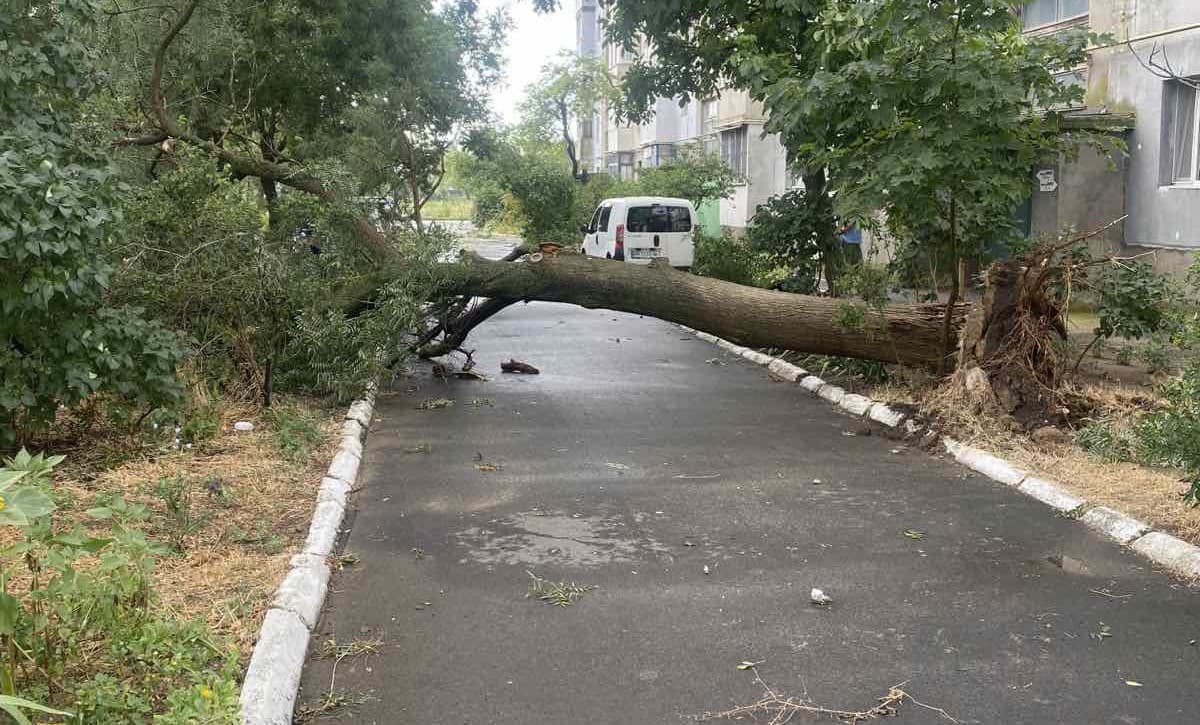 Повалені дерева, провали ґрунту, відсутність електро- та водопостачання: негода вибила з колії звичний ритм життя аккерманців