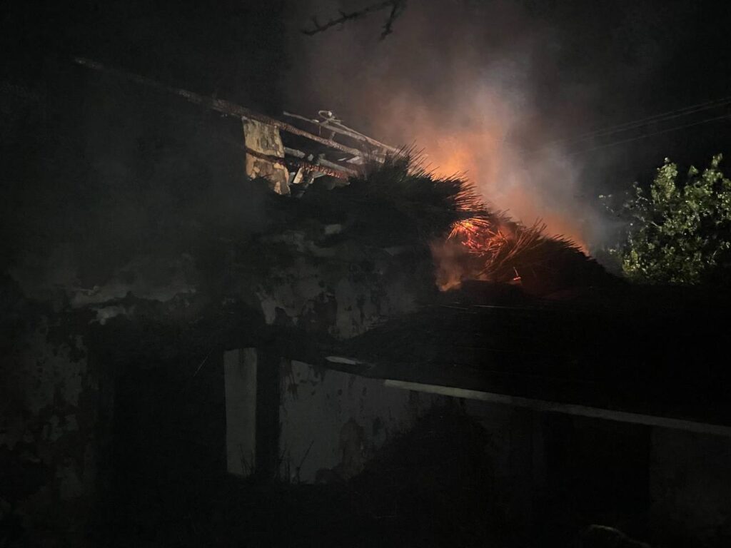 Рятувальники не дали вогню поширитися на ліс та житлові будинки: масштабна пожежна сталася вихідними у Білгород-Дністровському районі