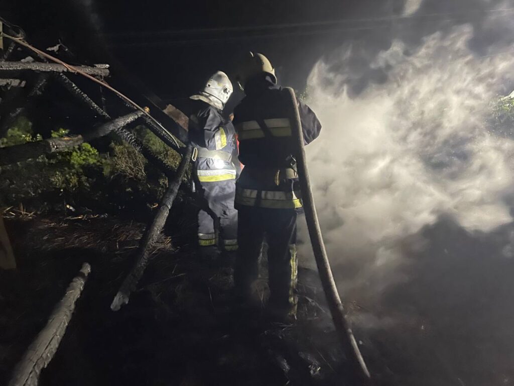 Рятувальники не дали вогню поширитися на ліс та житлові будинки: масштабна пожежна сталася вихідними у Білгород-Дністровському районі