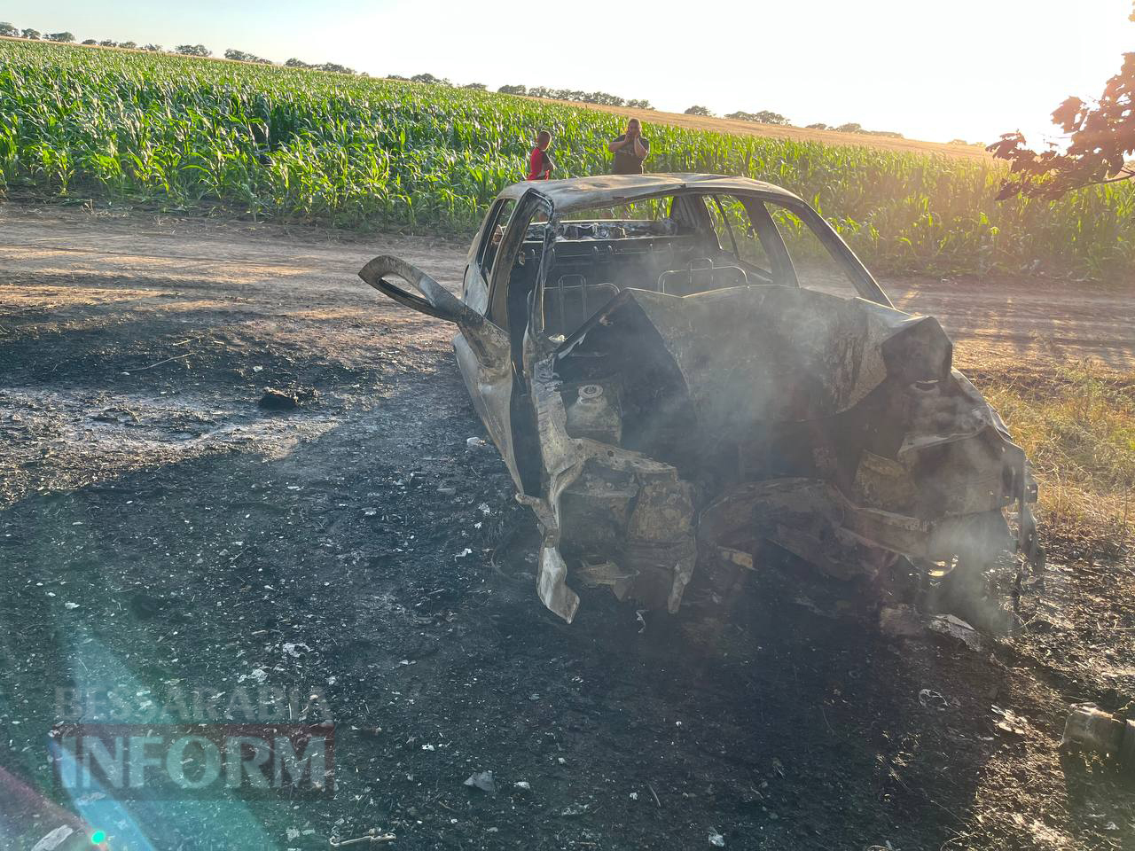 Автівка злетіла з дороги та згоріла від удару: внаслідок ДТП загинув мешканець Саф'янівської громади