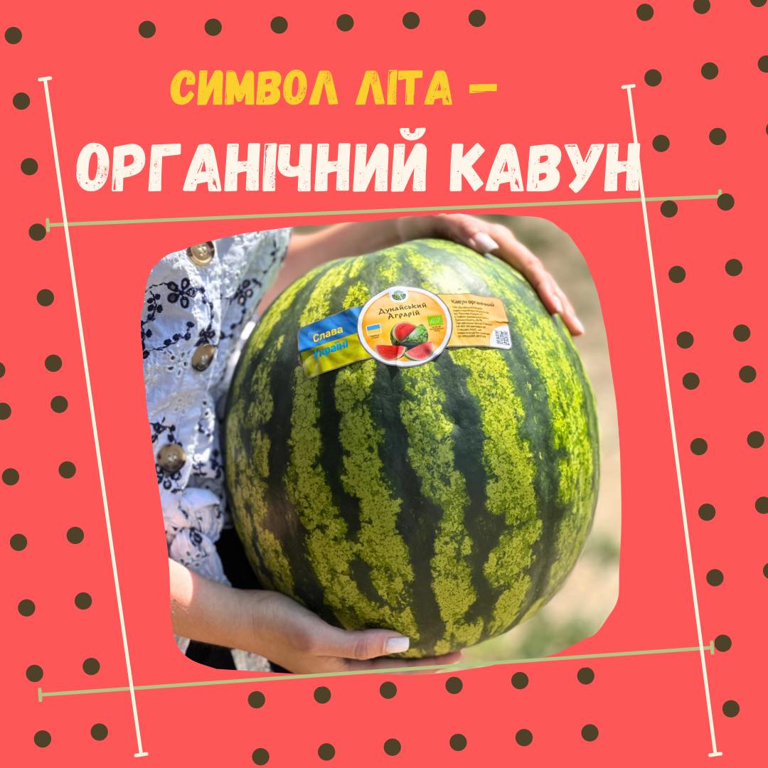 Органические арбузы из Измаильщины поставляются в сети украинских супермаркетов, а в этом году начались продажи в сети Lidl за границей