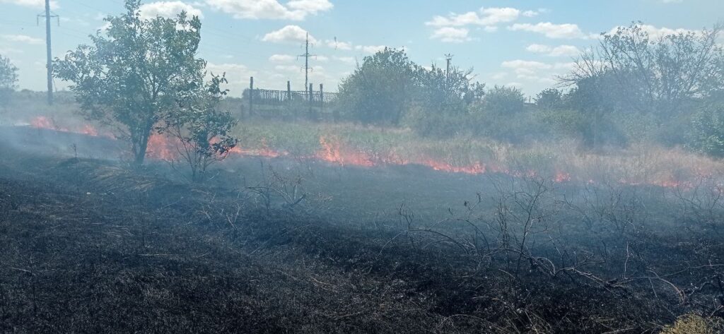 У Білгород-Дністровському районі не зменшується кількість підпалів сухої трави: пожежні нагадують про відповідальність за скоєне