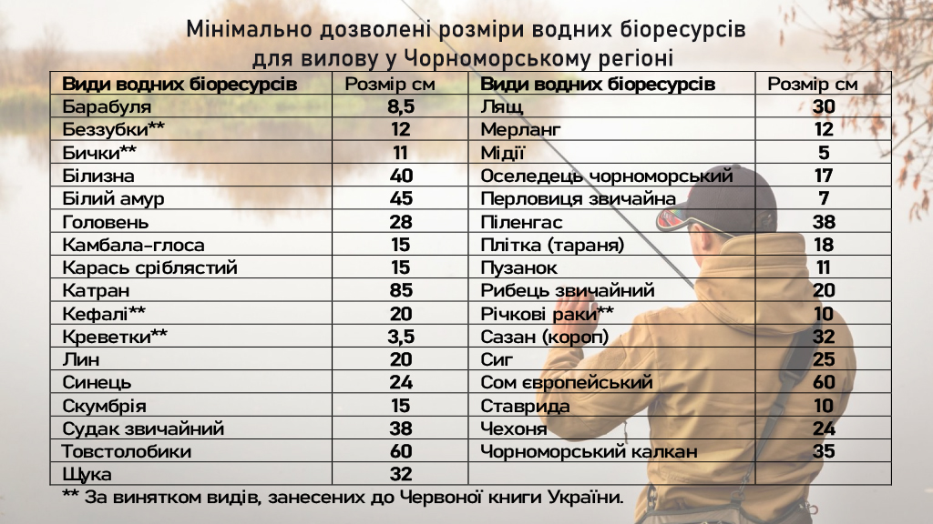 Гарна новина для рибалок Бессарабії: з 1 серпня на Дністровському лимані дозволено любительське та промислове рибальство