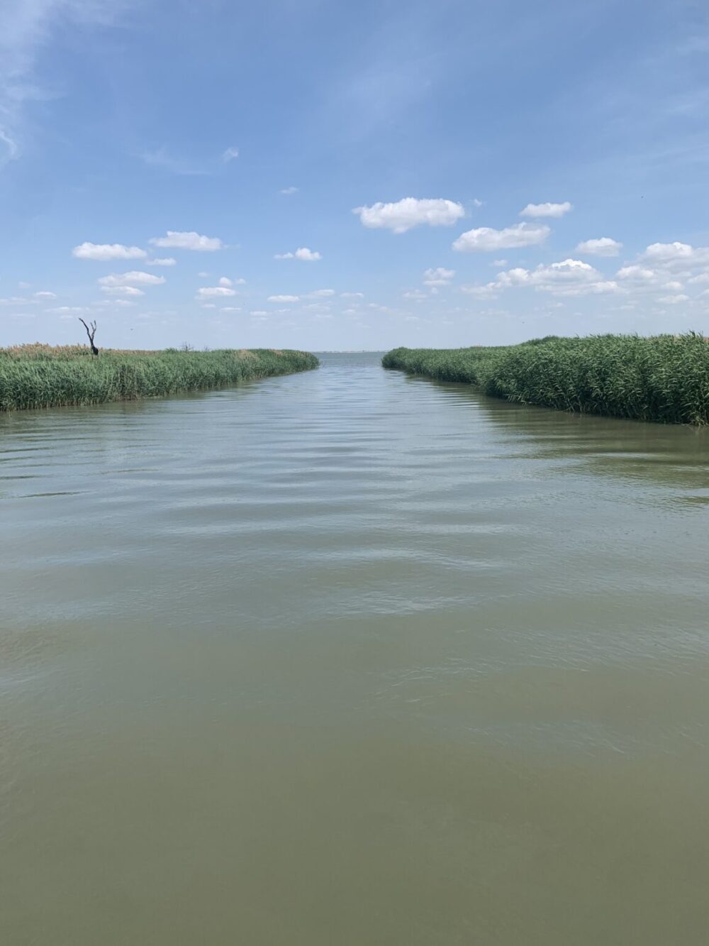 "Екологічна ситуація контрольована": спеціалісти розповіли про гідрологічну обстановку на озері Китай в Ізмаїльському районі