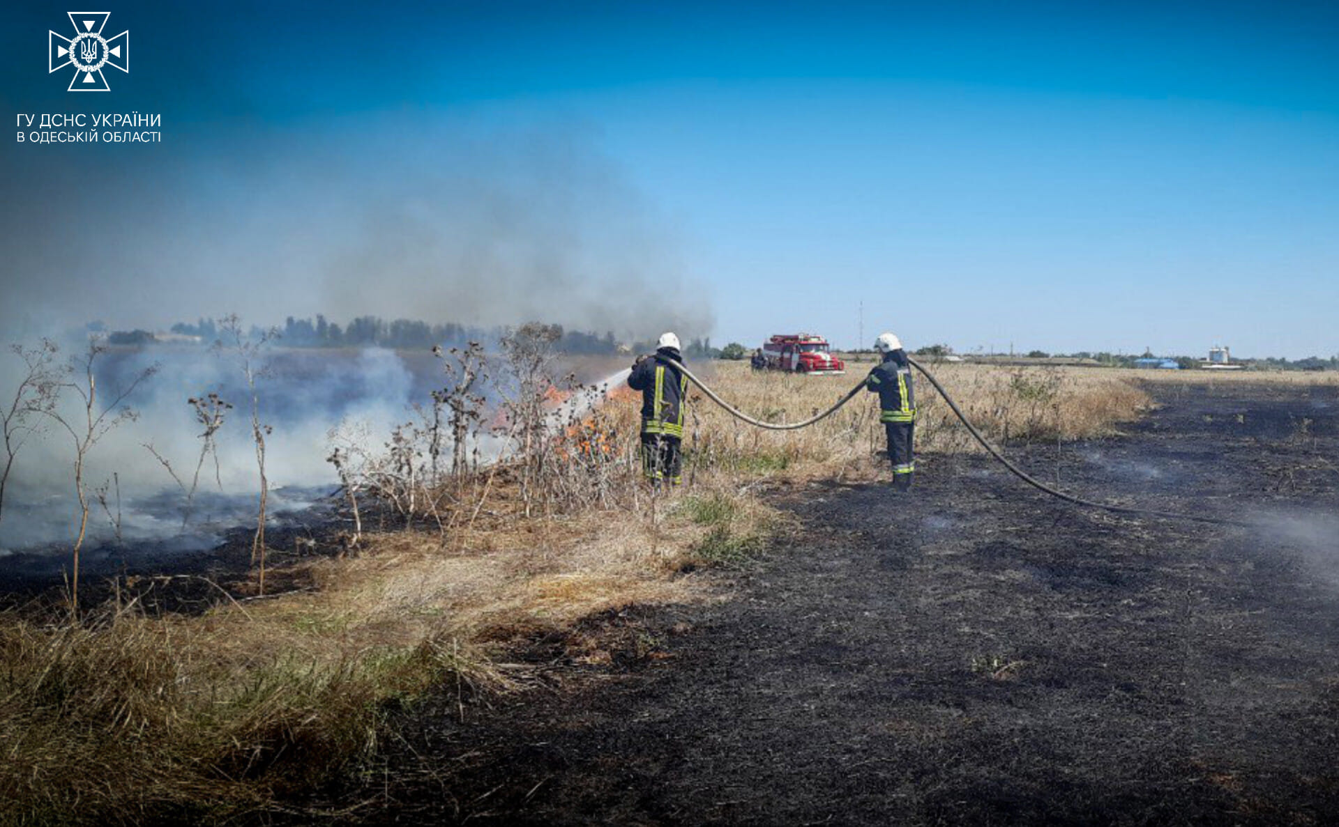 Одещина палає: з початку тижня зафіксовано вже більше чотирьох десятків пожеж сухої рослинності в області