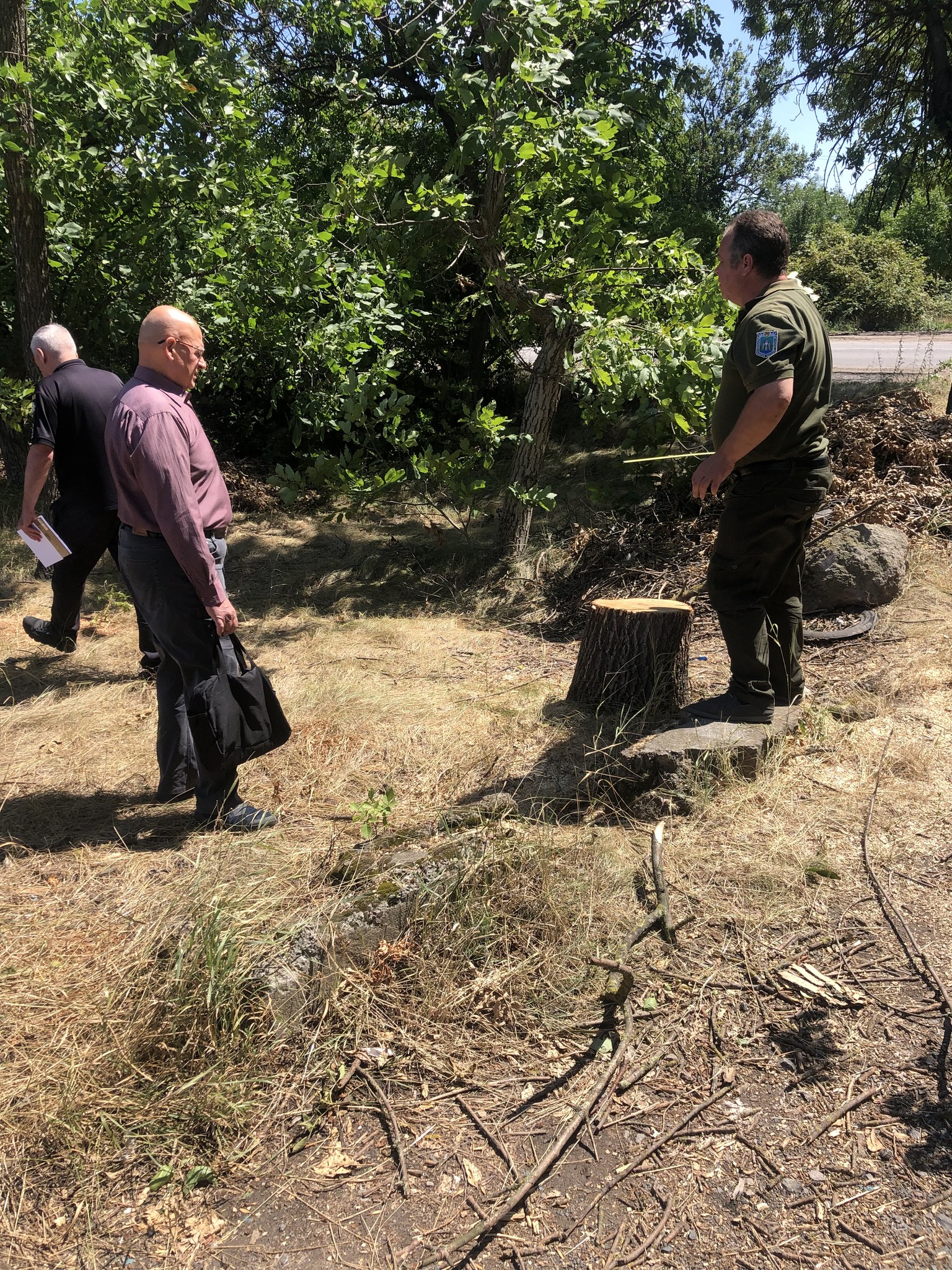 За порубку деревьев в лесополосе вдоль дороги Одесса-Белгород-Днестровский нарушитель получил штраф