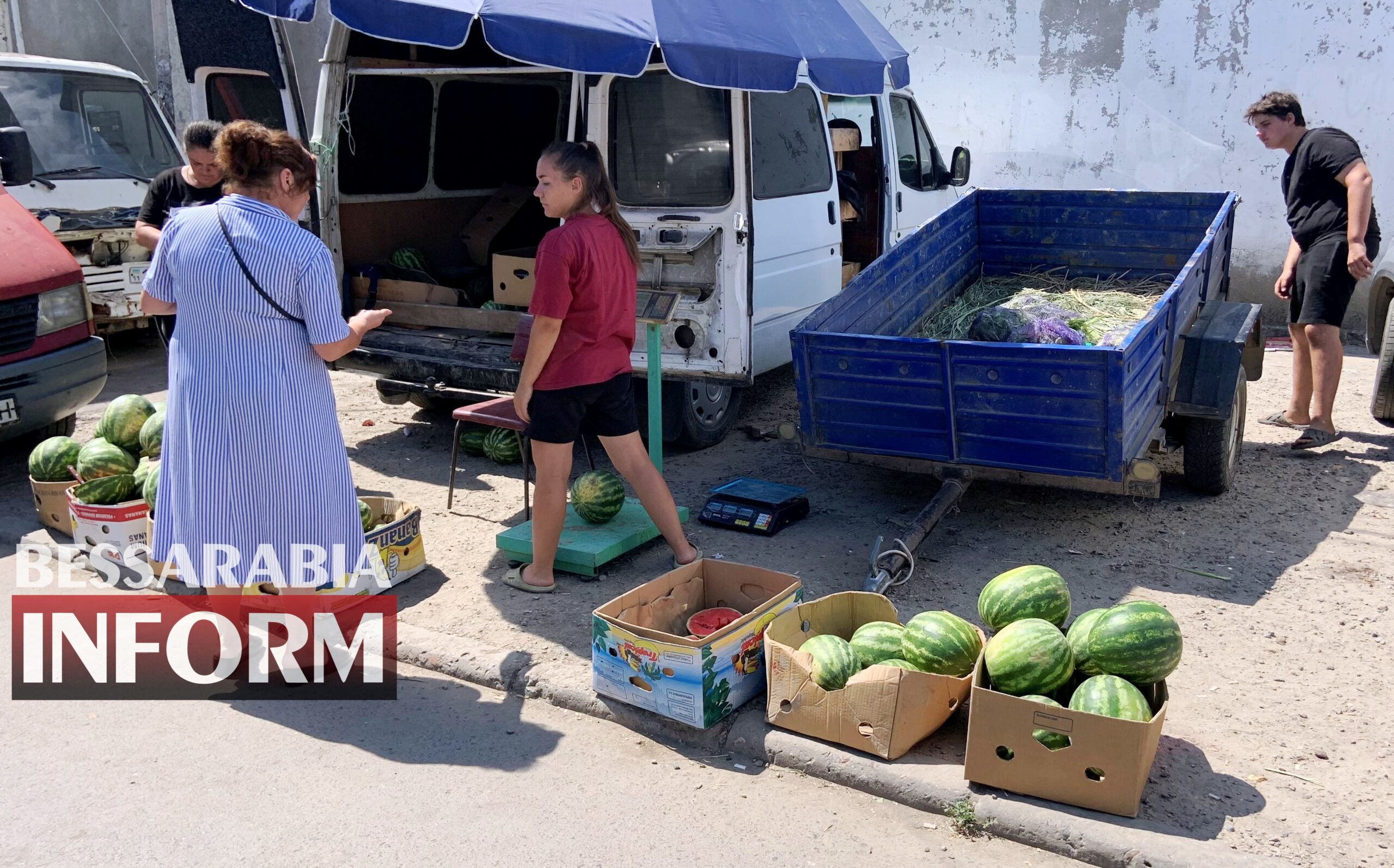 Сезон налитых южным солнцем арбузов в разгаре: обзор цен на бахче в Измаиле