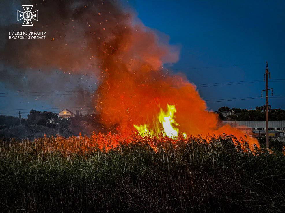 Понад 20 гектарів знищених екосистем на Одещині: одна із наймасштабніших пожеж сталась вчора ─ ДСНС