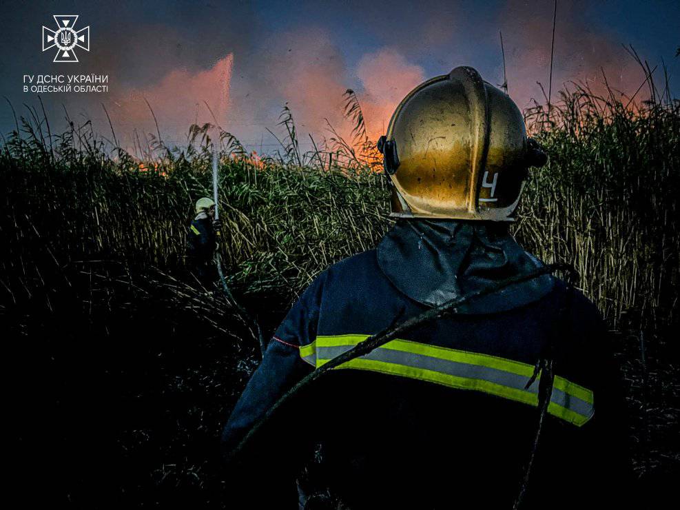 Понад 20 гектарів знищених екосистем на Одещині: одна із наймасштабніших пожеж сталась вчора ─ ДСНС