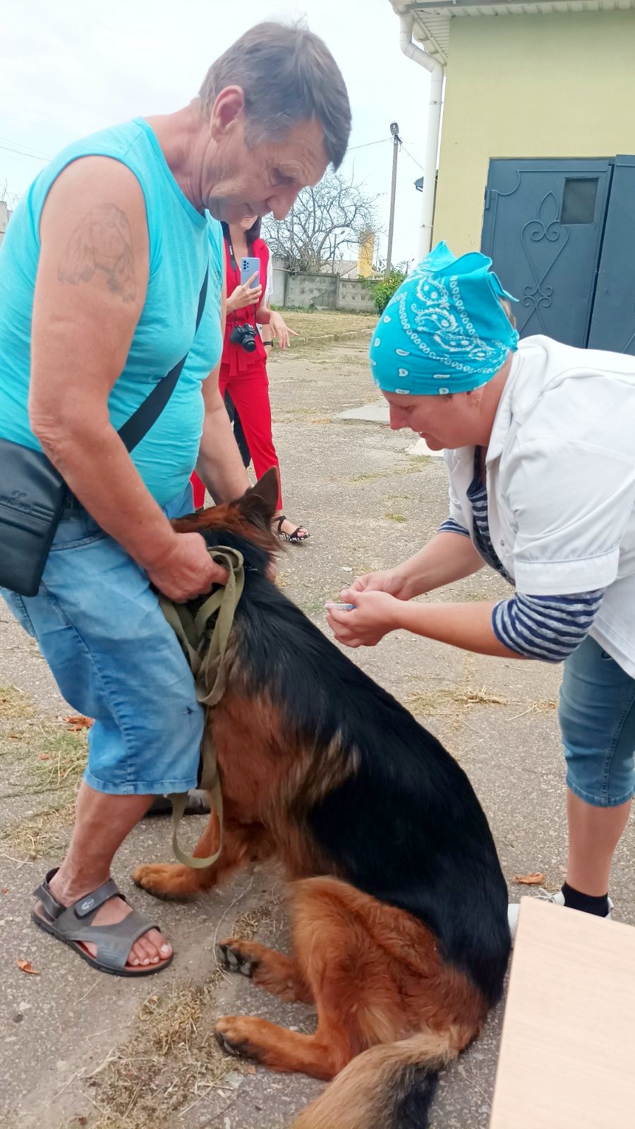 В Одеській області триває вакцинація кішок та собак від сказу: вже щеплено понад 18 тисяч тварин