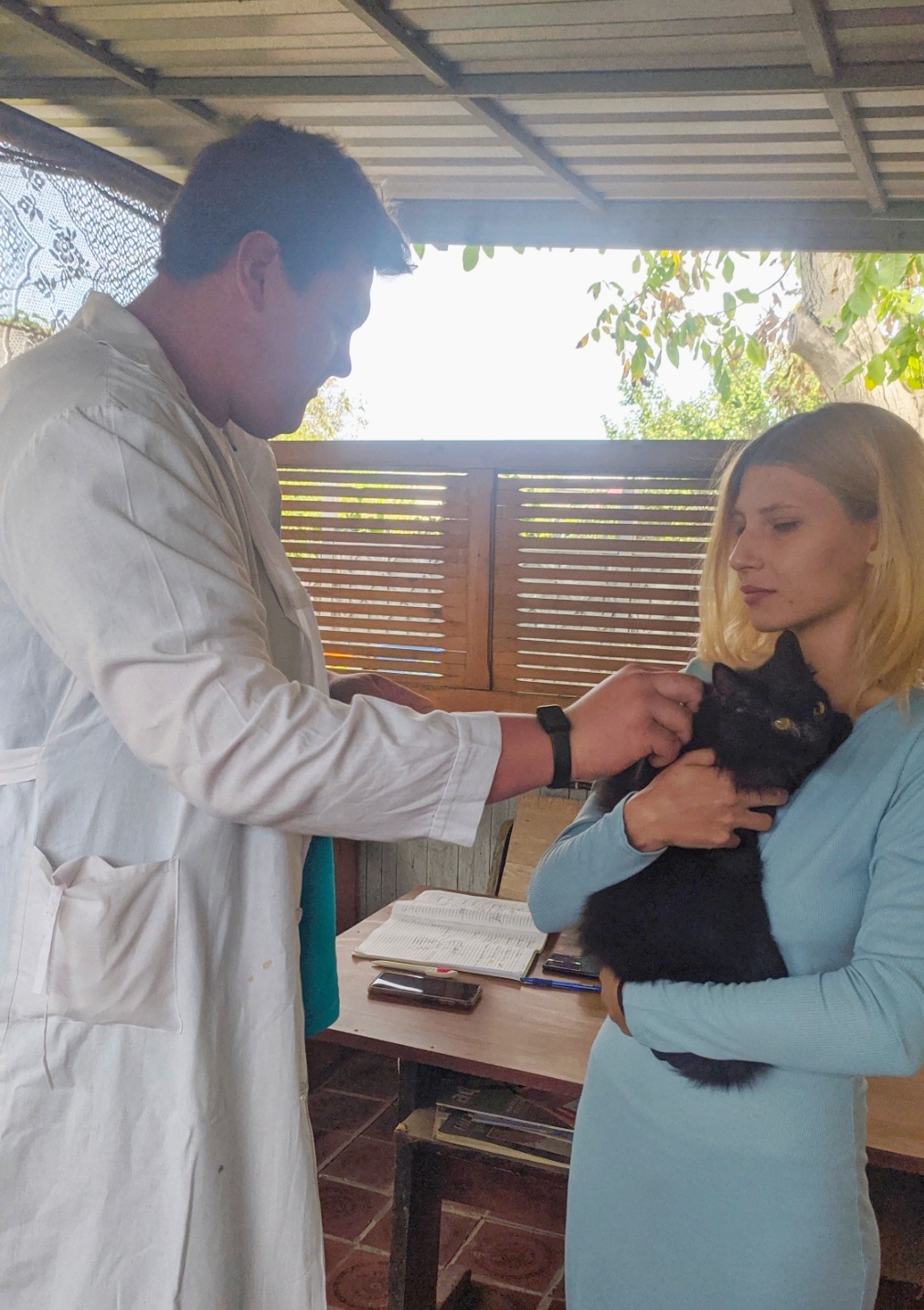 В Одеській області триває вакцинація кішок та собак від сказу: вже щеплено понад 18 тисяч тварин