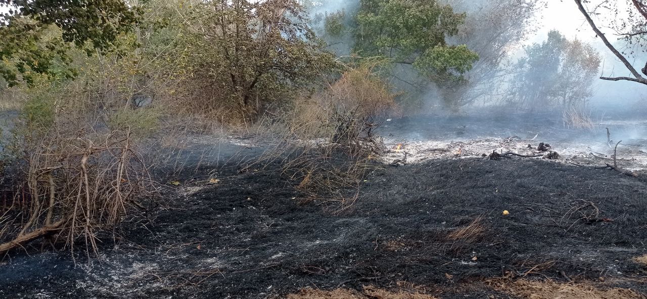 Протягом поточного року під час пожеж на Білгород-Дністровщині загинули п’ятеро людей ─ ДСНС