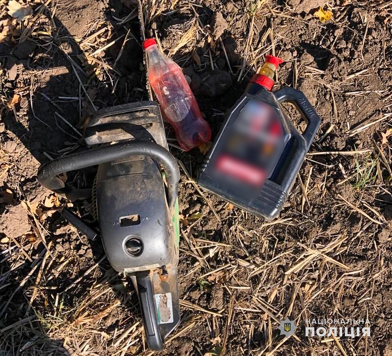 В Болградском районе полицейские "на горячем" задержали лесорубов и обнаружили их базу