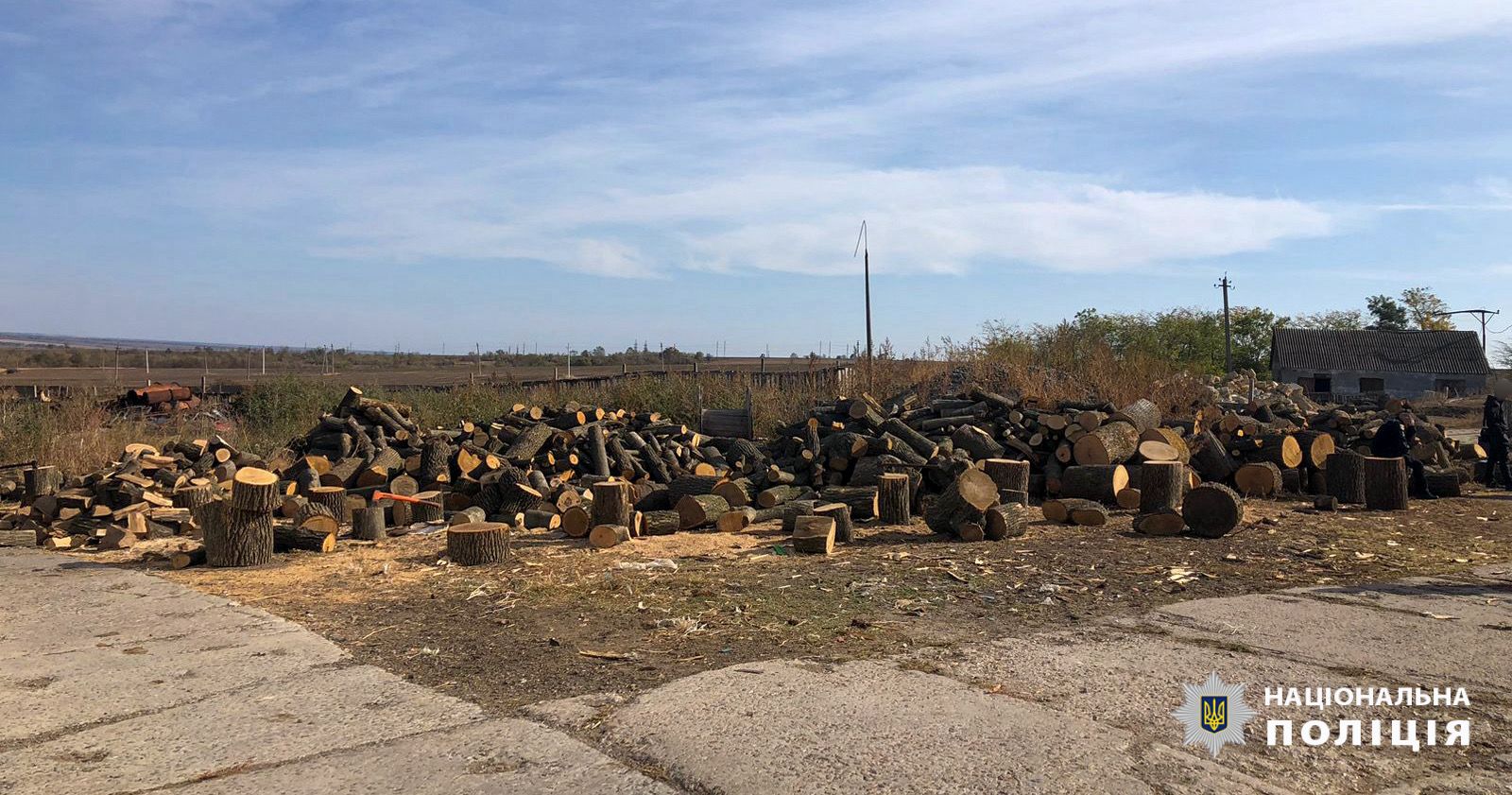 В Болградському районі поліцейські "на гарячому" затримали лісорубів та виявили їх базу