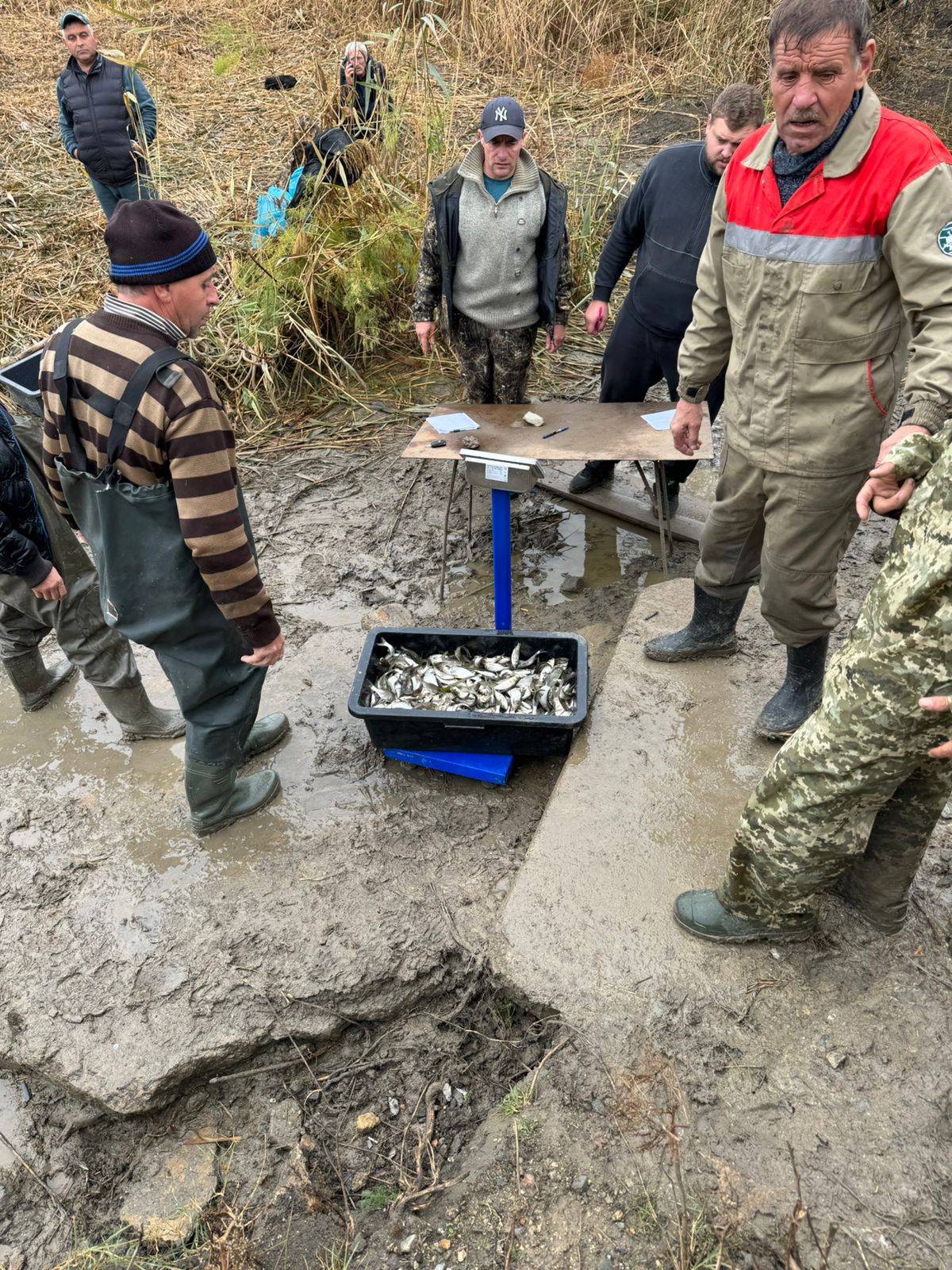 В Одеській області продовжують наповнювати рибою озера