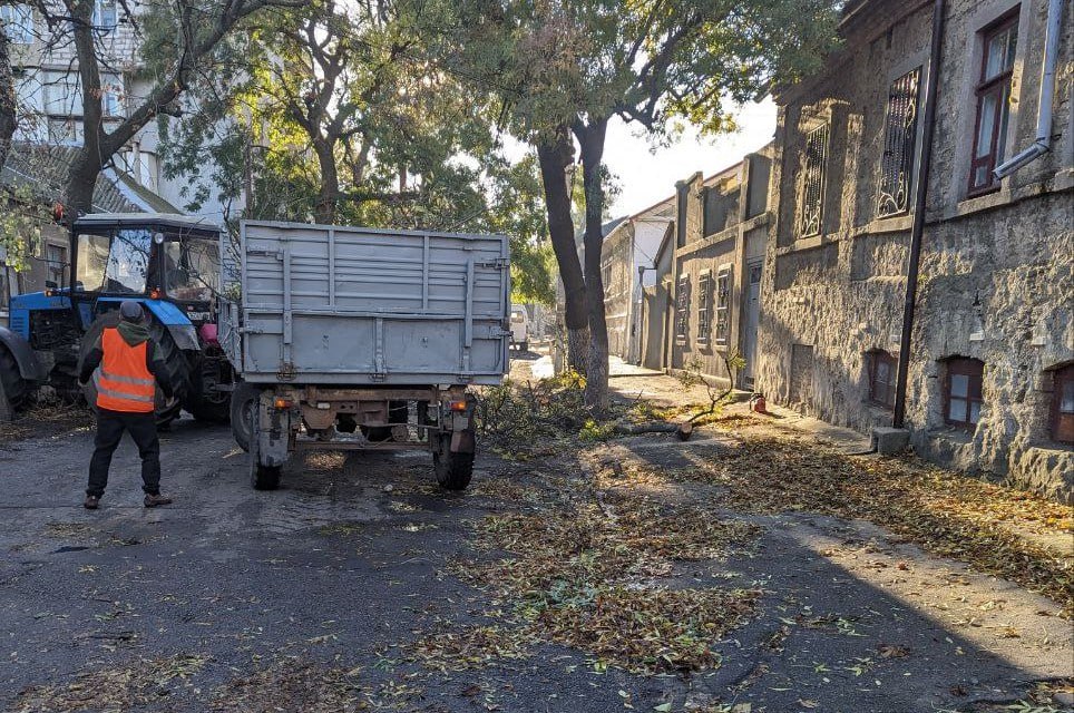 Зірваний шифер та зламані дерева: поривчастий вітер наробив лиха в Аккермані