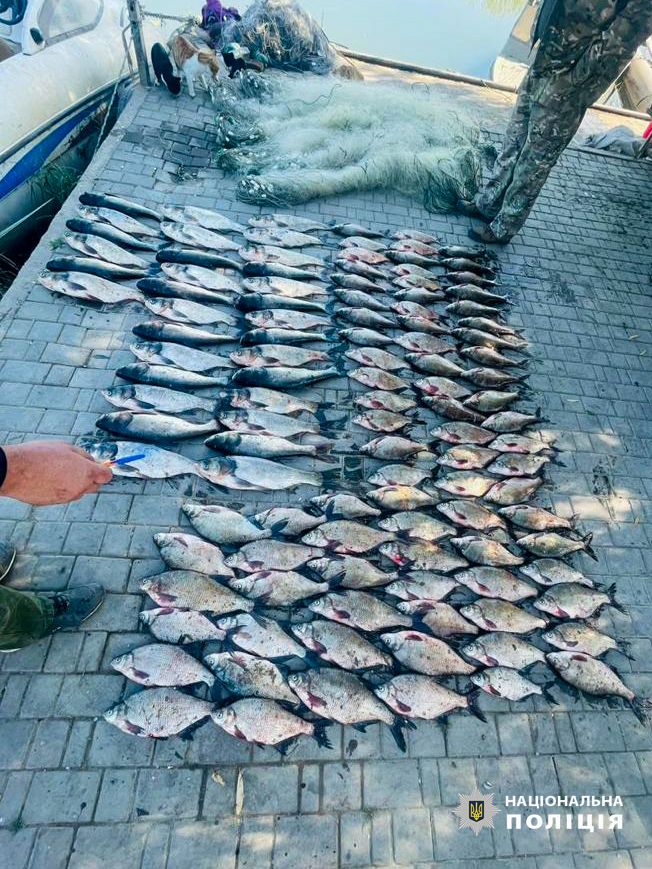 Какая уголовная ответственность грозит пяти жителям Измаильщины за незаконный лов рыбы