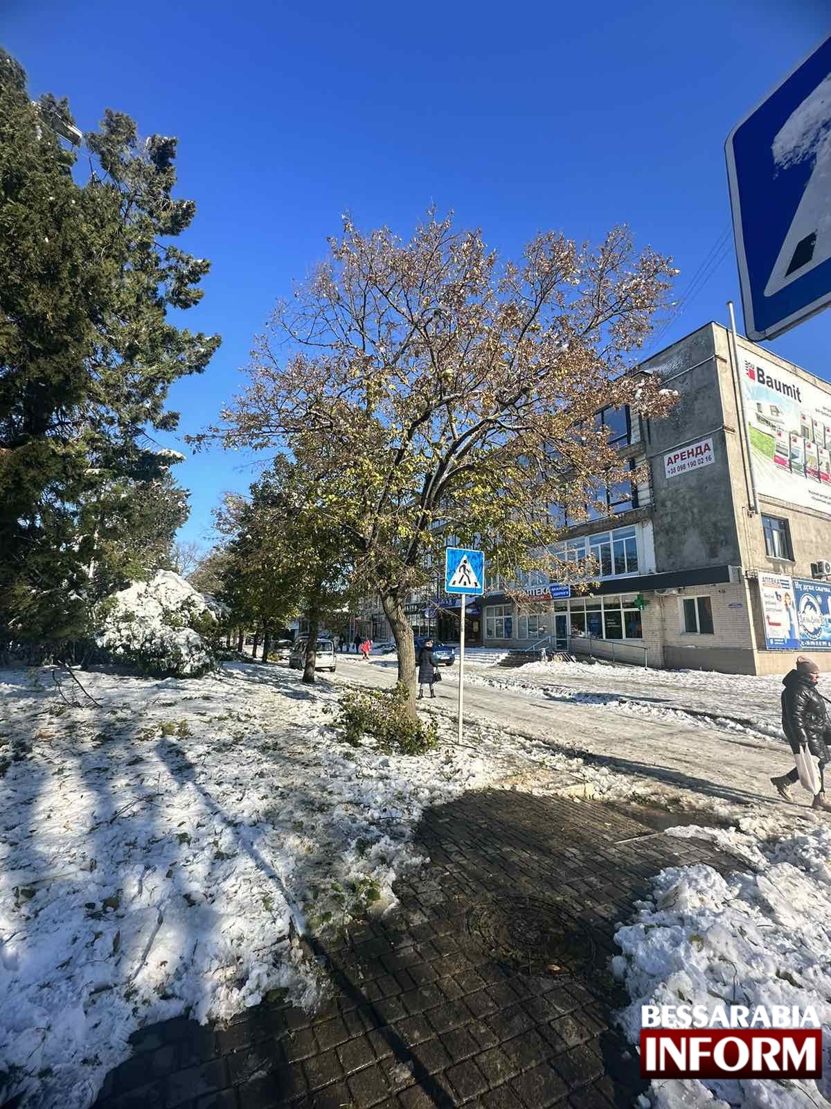 Зима в Ізмаїлі: попри зламані дерева та дроти, на вулицях лунає дитячий сміх