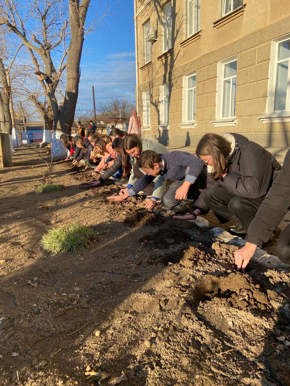 Школярі з села Городнє отримали кілька сотень квіткових цибулин завдяки благодійному проєкту