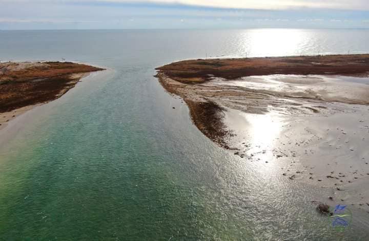 Чорне море дарує життя: водний прорив у Тузлівських лиманах відновлює природний баланс