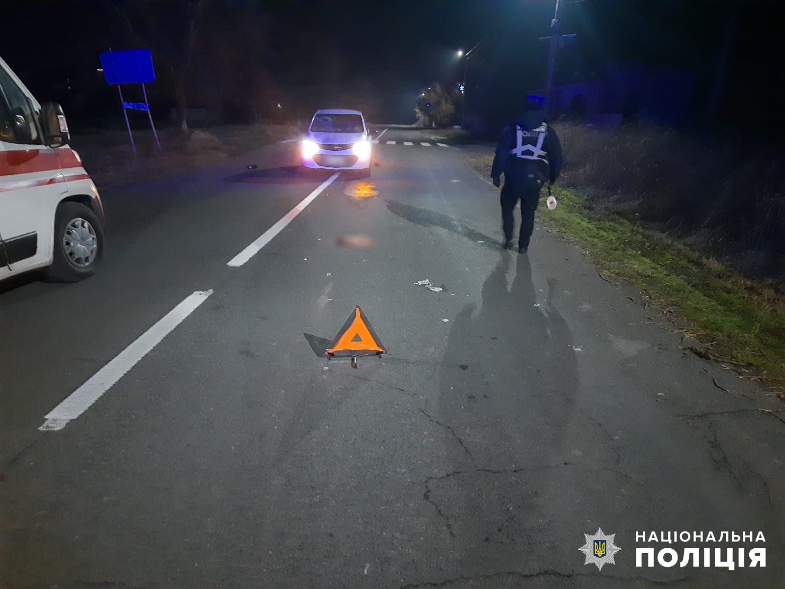 Перебігав дорогу та потрапив під колеса авто: у Білгород-Дністровському районі сталась смертельна ДТП
