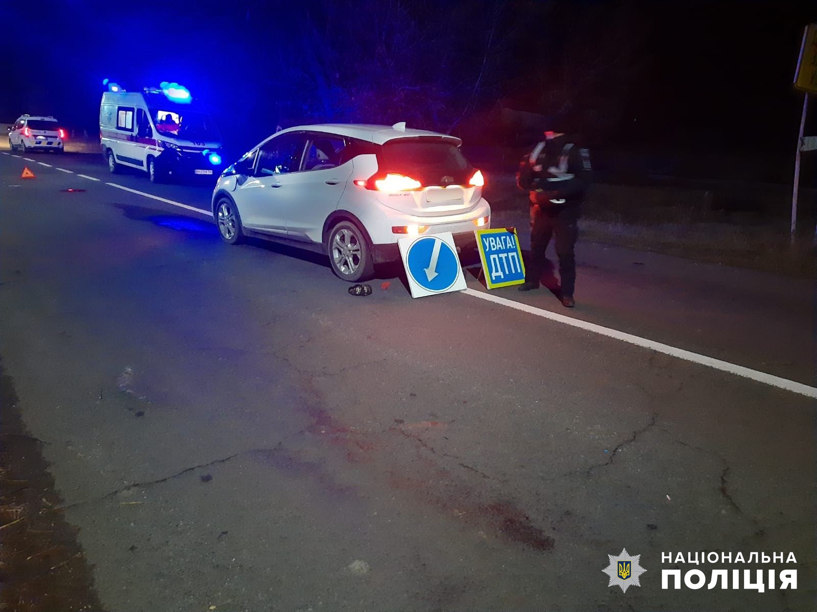 Перебігав дорогу та потрапив під колеса авто: у Білгород-Дністровському районі сталась смертельна ДТП