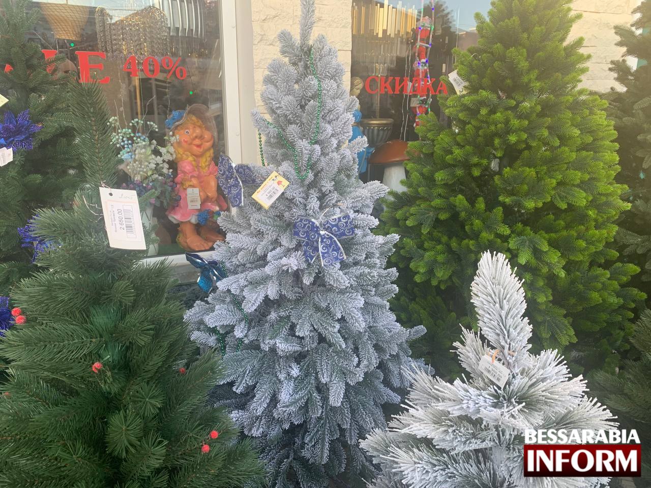 Ялинки й Ізмаїл: ціни на новорічні дерева та думка містян стосовно актуальності святкування Нового року