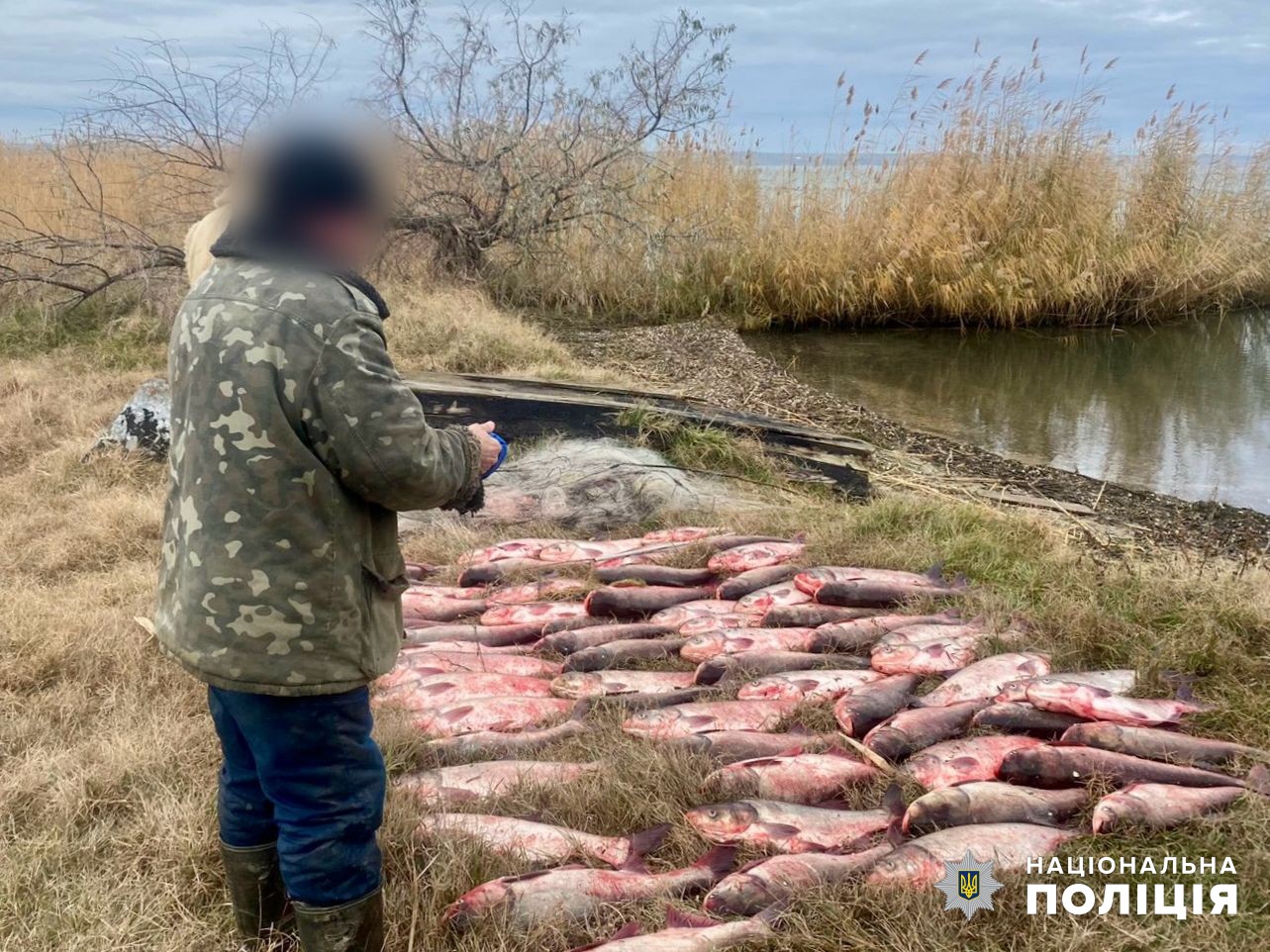 На озере Ялпуг поймали браконьера: за большой отлов ему даже грозит ограничение свободы