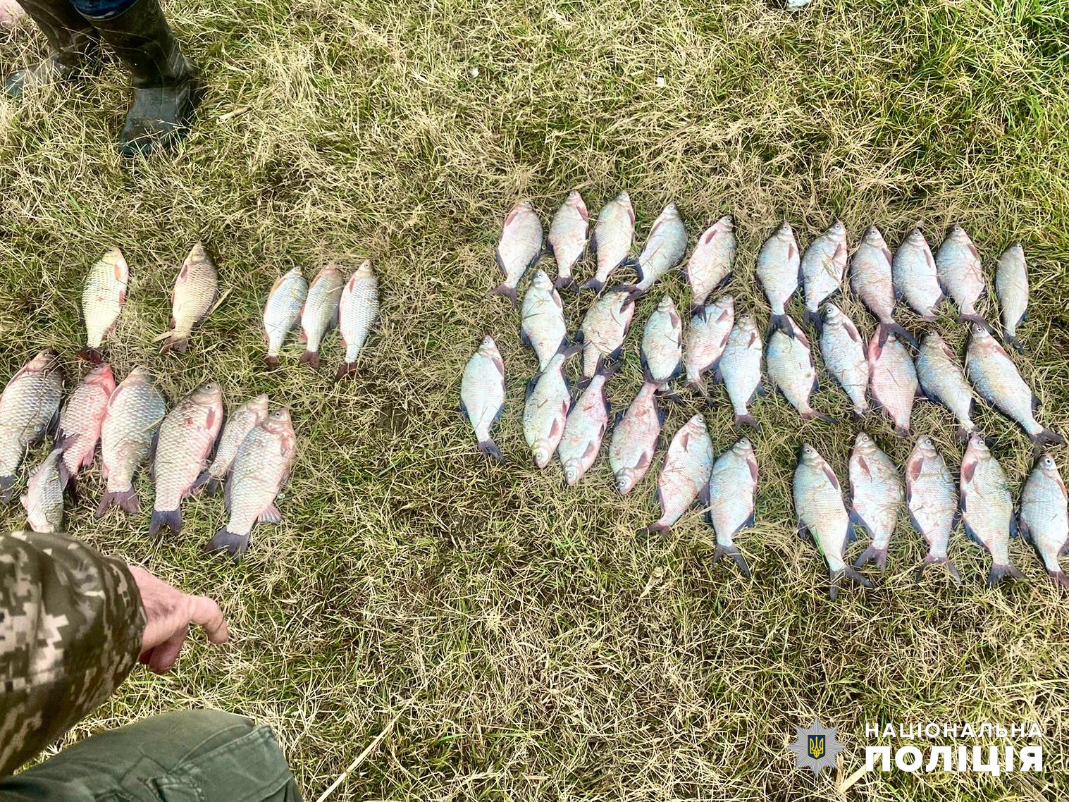 На озере Ялпуг поймали браконьера: за большой отлов ему даже грозит ограничение свободы