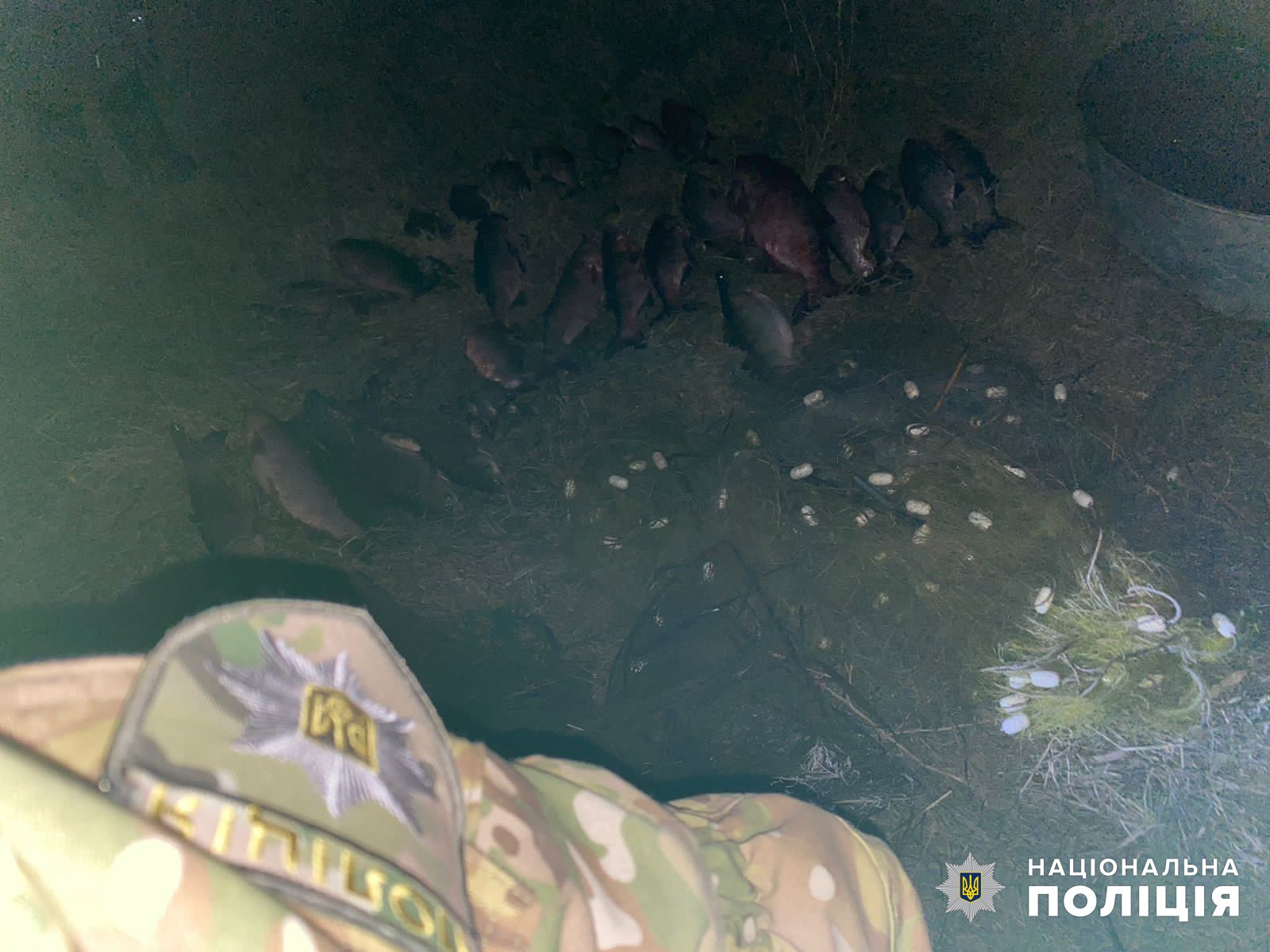 Возле Суворового поймали браконьера - обнаружены убытки более чем на сотню тысяч гривен