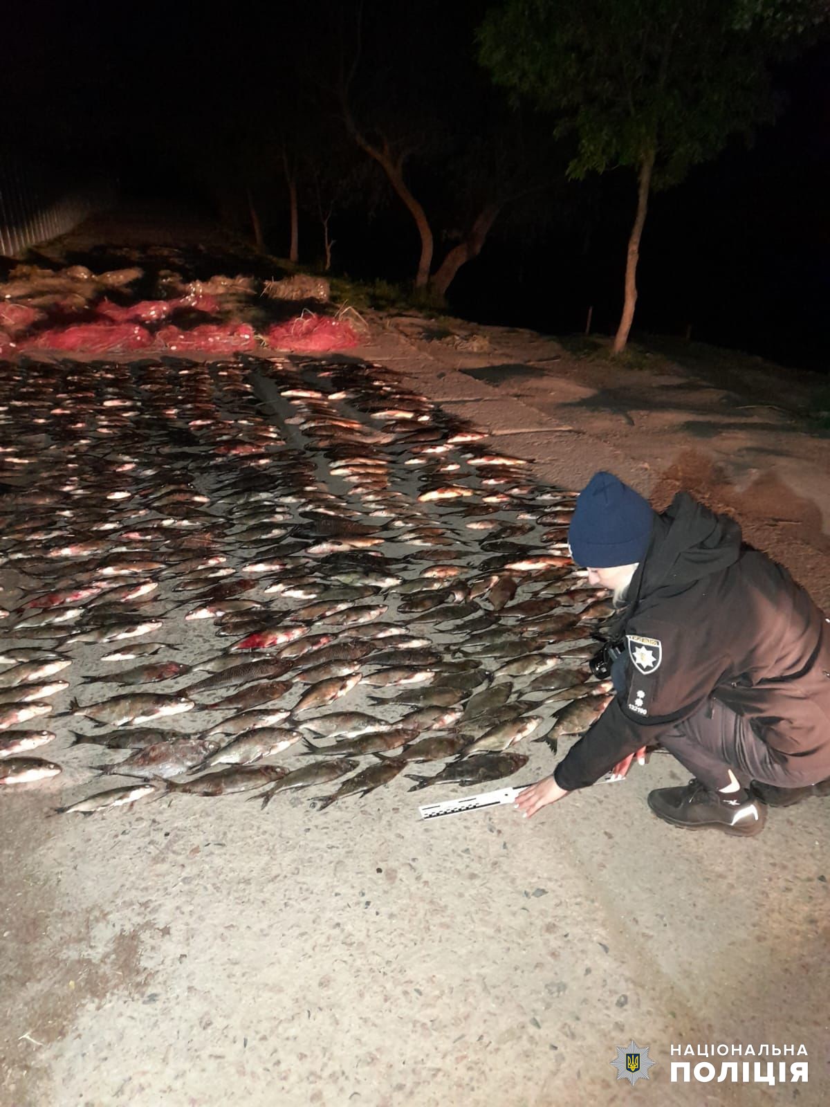 Жители Сафьяновской общины наловили рыбки более чем на 100 тысяч гривен