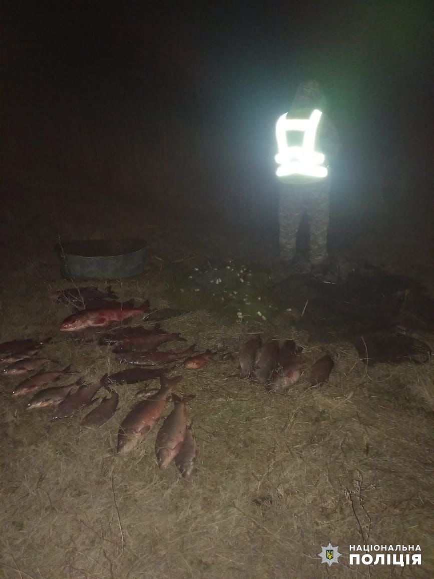 Возле Суворового поймали браконьера - обнаружены убытки более чем на сотню тысяч гривен