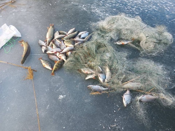 У озера Ялпуг на Измаильщине снова обнаружили браконьеров