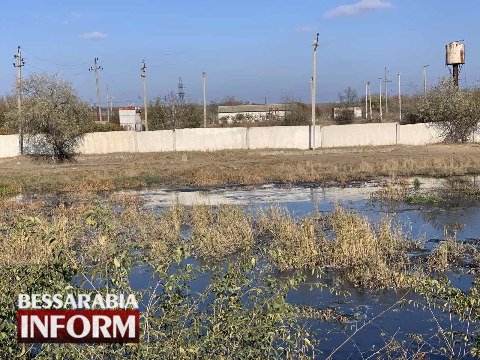 Экологический коллапс в Арциге: более 20 лет нечистоты сливают в окружающую среду. Есть ли выход?