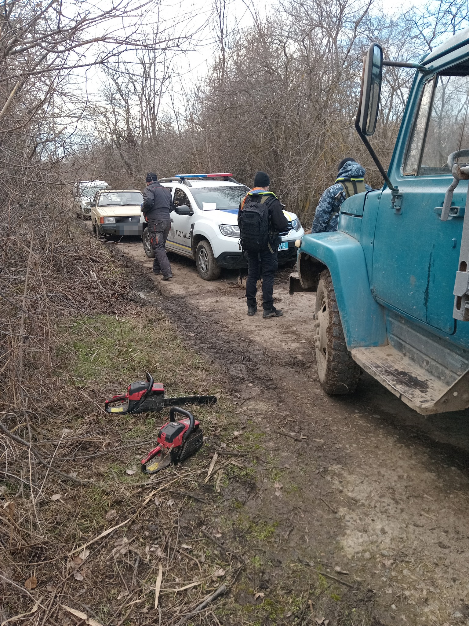 В Ізмаїльському районі правоохоронці виявили "на гарячому" трьох лісорубів - чоловіки працювали поруч з кордоном