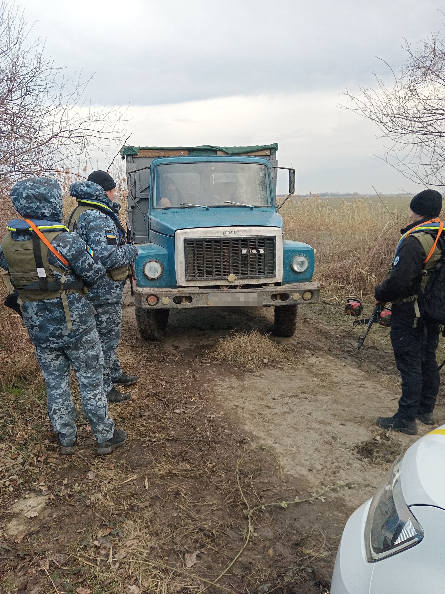 В Измаильском районе правоохранители обнаружили "на горячем" трех лесорубов - мужчины работали рядом с границей