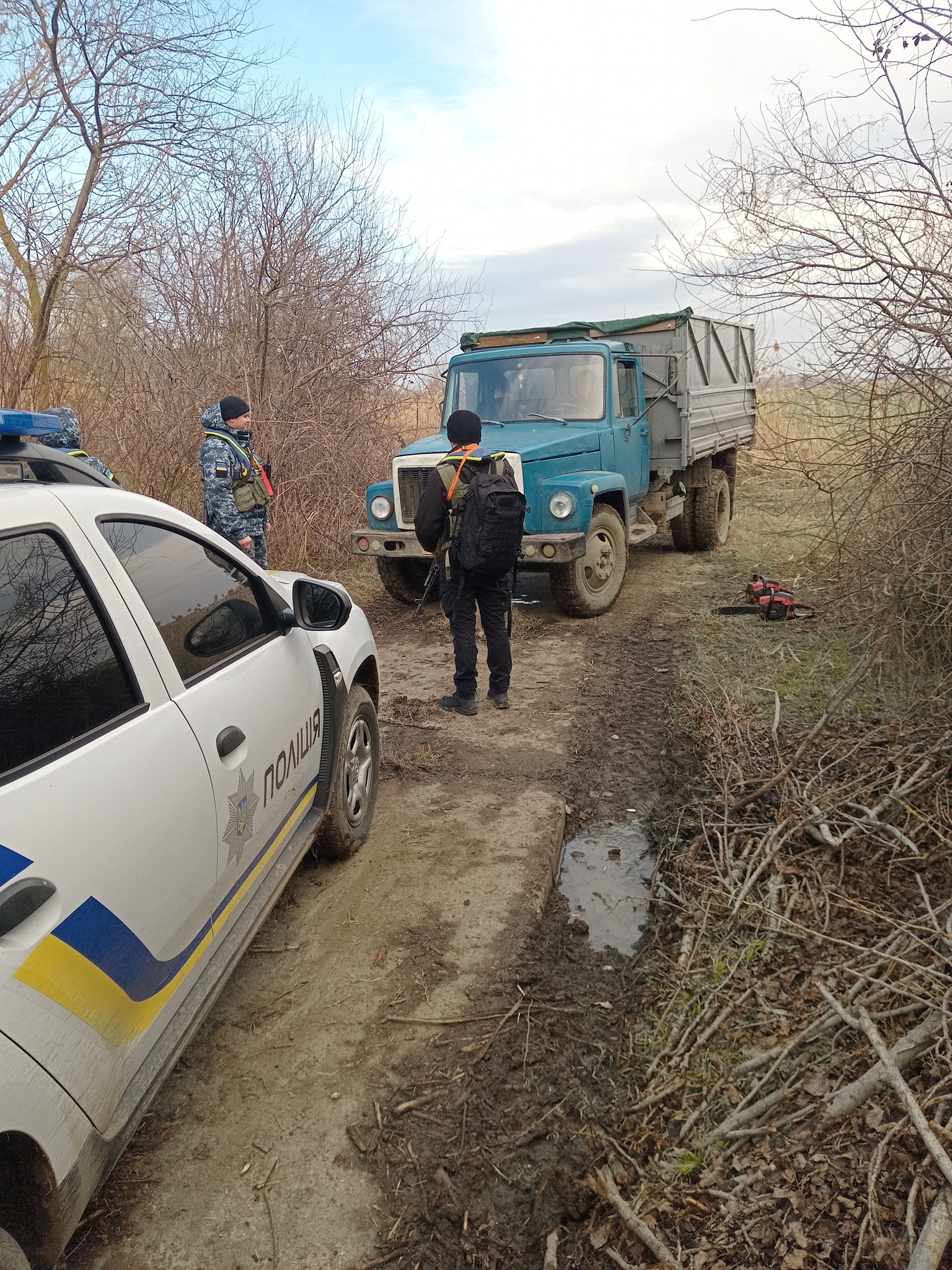 В Измаильском районе правоохранители обнаружили "на горячем" трех лесорубов - мужчины работали рядом с границей