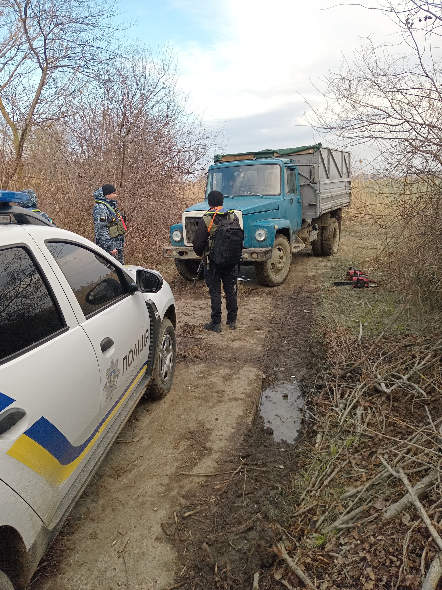 В Ізмаїльському районі правоохоронці виявили "на гарячому" трьох лісорубів - чоловіки працювали поруч з кордоном