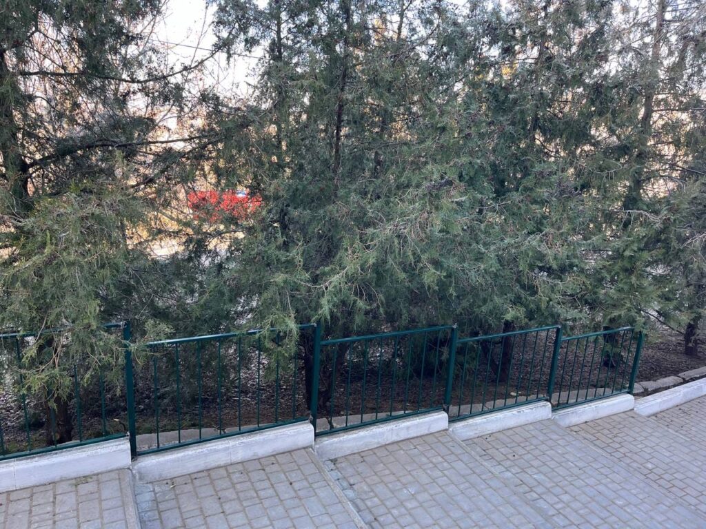 За средства местного бюджета: в Криничненском лицее установили забор возле младшей школы